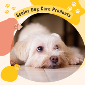 Senior Dog Care Products