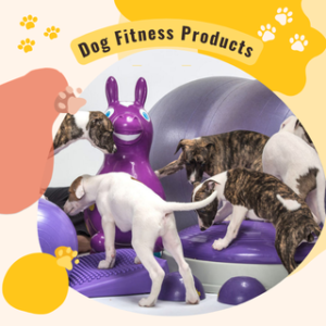 Dog Fitness Equipment