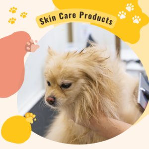 Skin Care Products